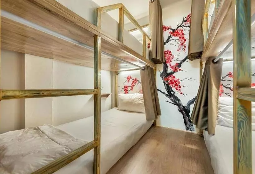 ホテル โรงแรมชิบะรูม นครราชสีมา สาขามหาวิทยาลัยเทคโนโลยีสุรนารี