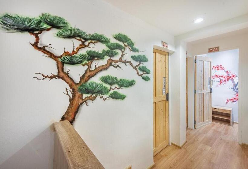 Hotel โรงแรมชิบะรูม นครราชสีมา สาขามหาวิทยาลัยเทคโนโลยีสุรนารี