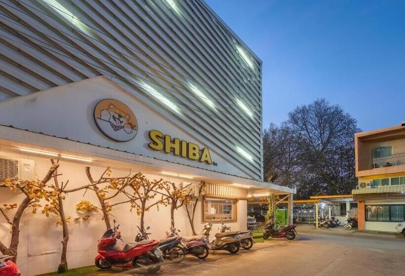 Hotel โรงแรมชิบะรูม นครราชสีมา สาขามหาวิทยาลัยเทคโนโลยีสุรนารี