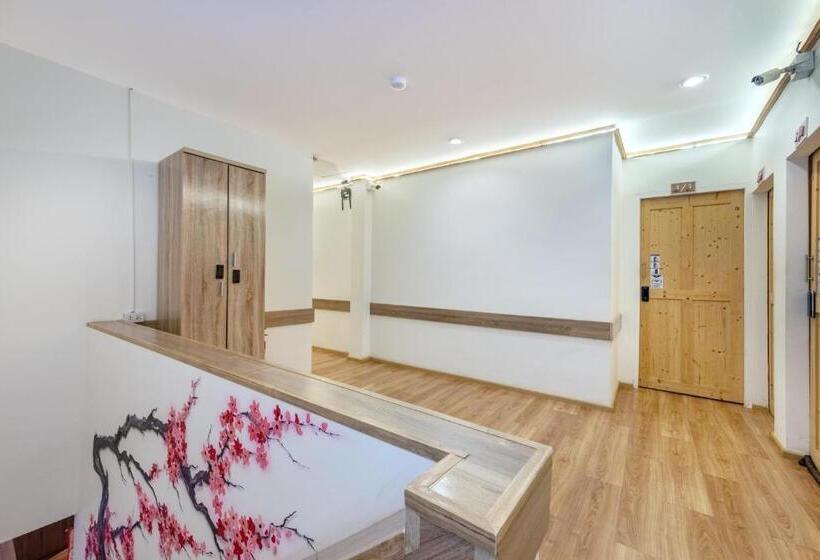 Hotel โรงแรมชิบะรูม นครราชสีมา สาขามหาวิทยาลัยเทคโนโลยีสุรนารี