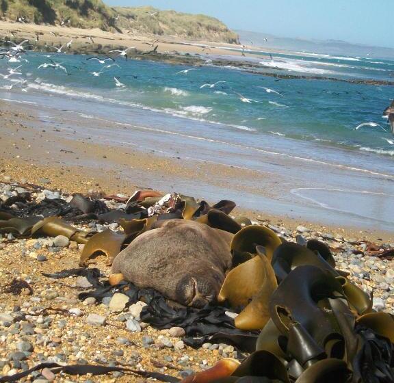 펜션 Catlins Retreat B & B