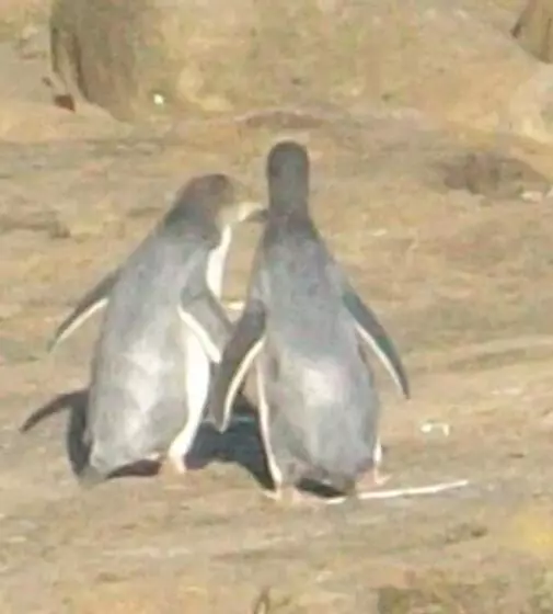 Majatalo Catlins Retreat B & B