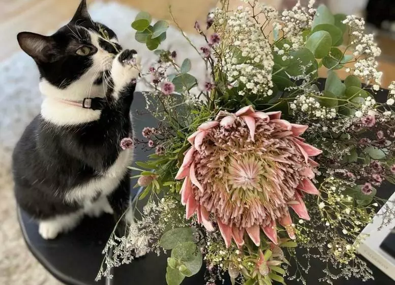 Aamiaismajoitus (B&B) La Maison De Reina