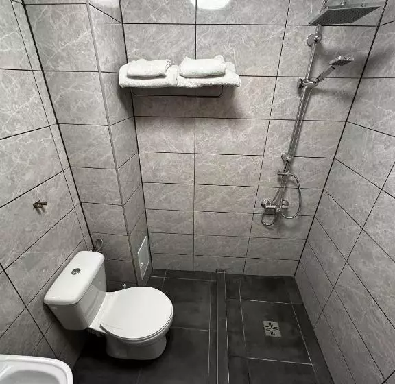 Casa Bucovineană