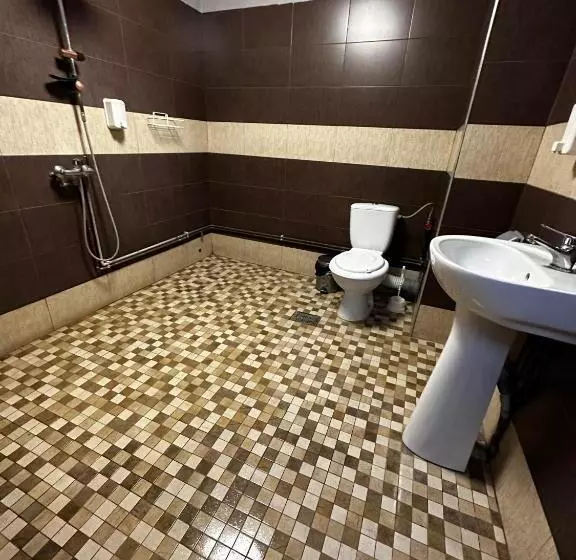 Casa Bucovineană