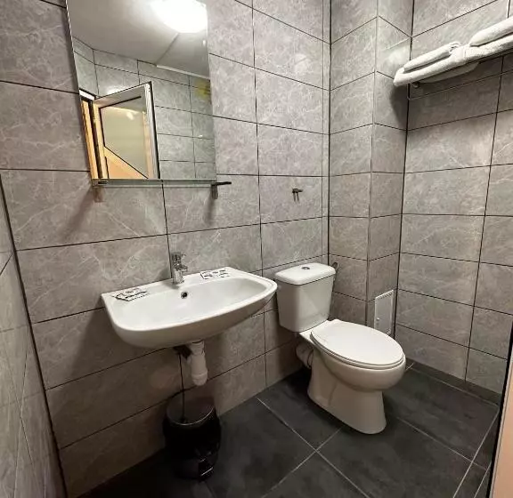 Casa Bucovineană