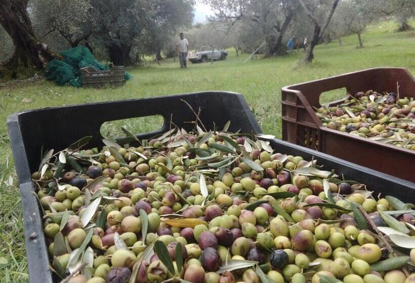 Casa Vacanze Acquaviva
