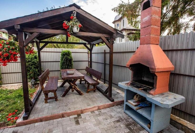 פנסיון Casa Andy