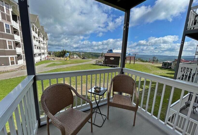 Stroll To Slopes, Village Area, Ski In Out Mtlodge 210