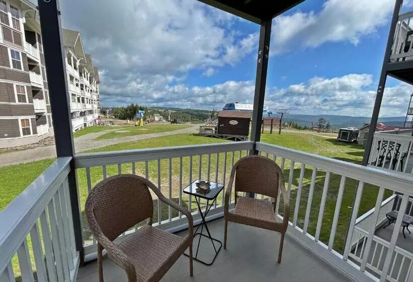 Stroll To Slopes, Village Area, Ski In Out Mtlodge 210