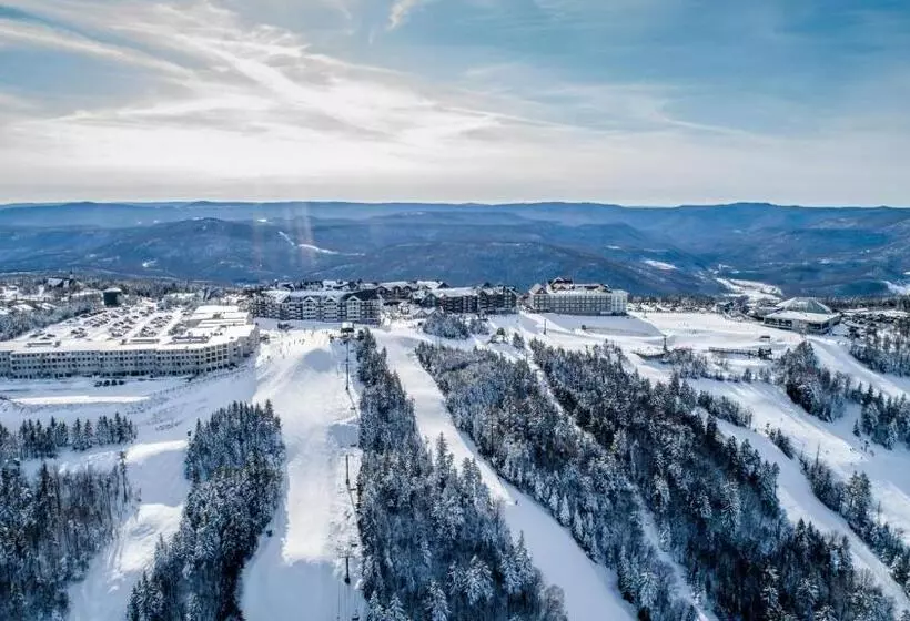 Stroll To Slopes, Village Area, Ski In Out Mtlodge 210