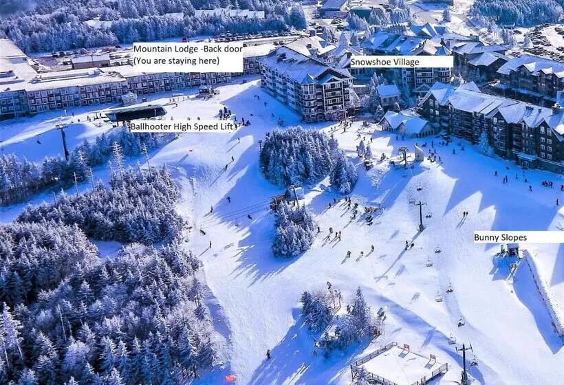 Stroll To Slopes, Village Area, Ski In Out Mtlodge 210