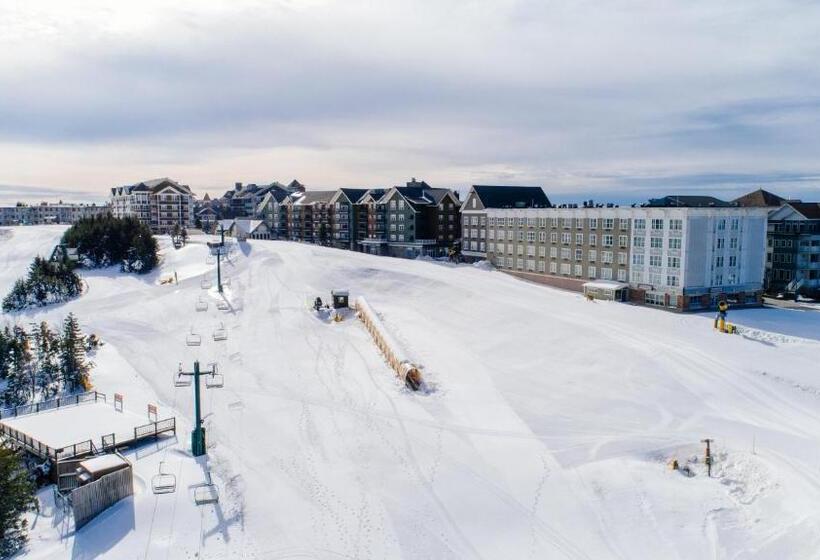 Stroll To Slopes, Village Area, Ski In Out Mtlodge 210