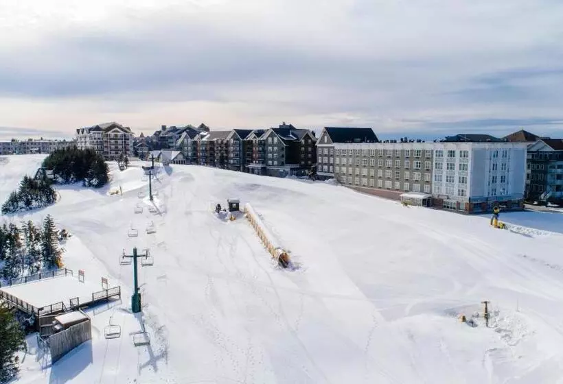 Stroll To Slopes, Village Area, Ski In Out Mtlodge 210