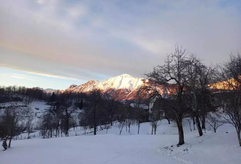 Apartmaji Uršič