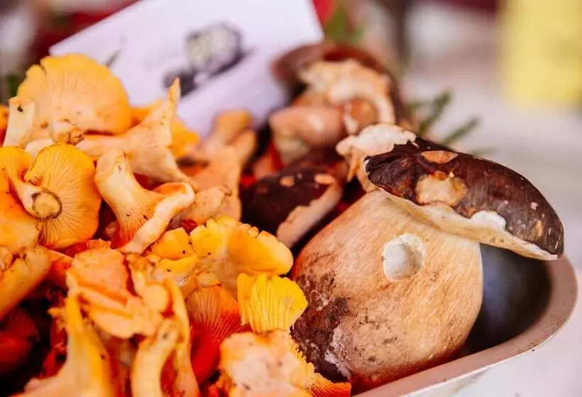 Appartement La Vie En Rose