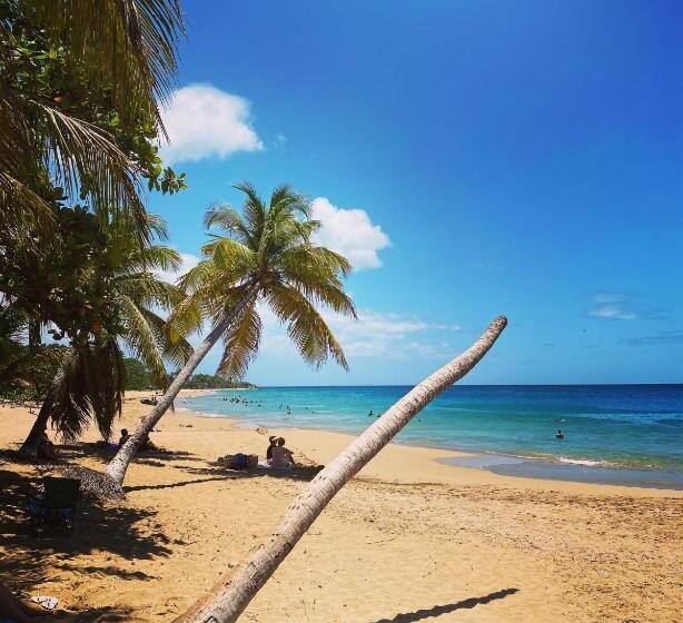 Auberge K Wan Hostel Proche Plages