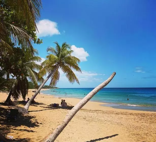 Auberge K Wan Hostel   Proche Plages