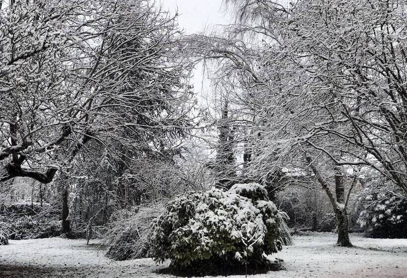 مبيت وإفطار Au Plech