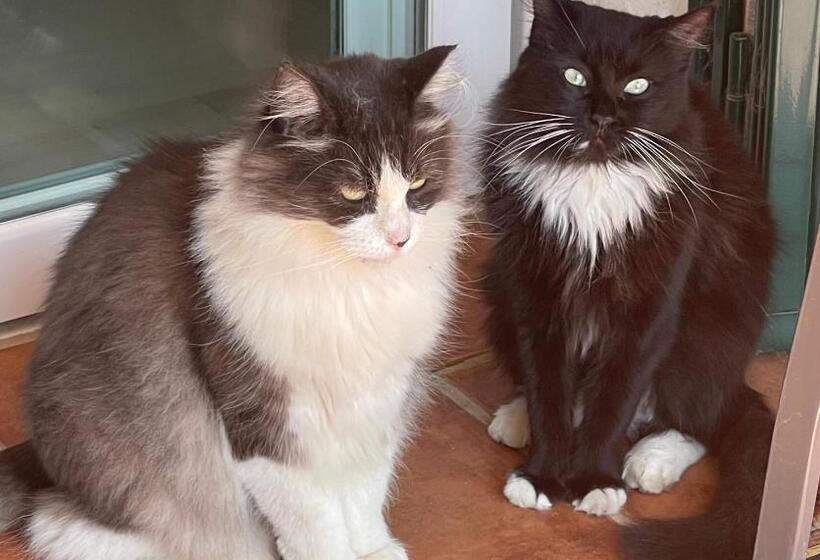 צימר Casa Flora   Mijas Costa   Andalusië