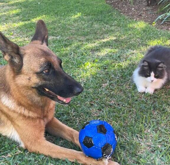 צימר Casa Flora   Mijas Costa   Andalusië