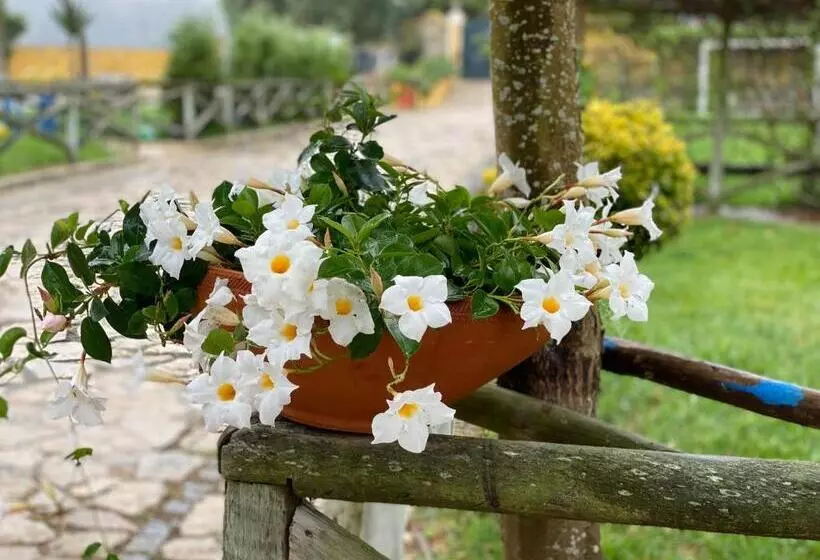 ホテル Charm Azenha Dóbidos Farm