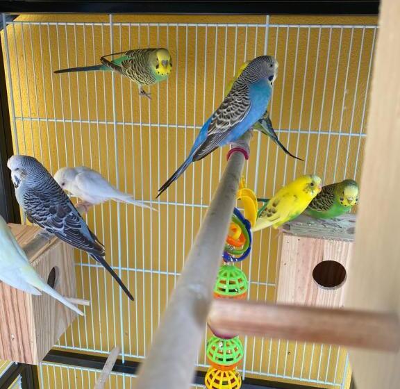 호텔 Charm Azenha Dóbidos Farm