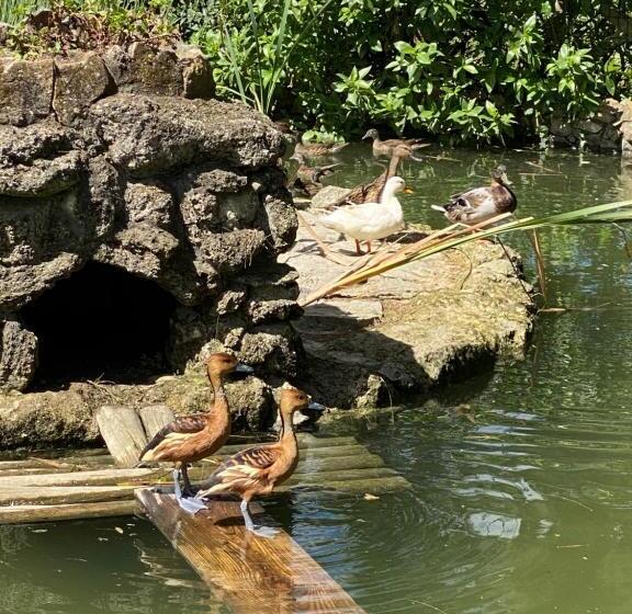 호텔 Charm Azenha Dóbidos Farm