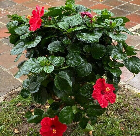 호텔 Charm Azenha Dóbidos Farm