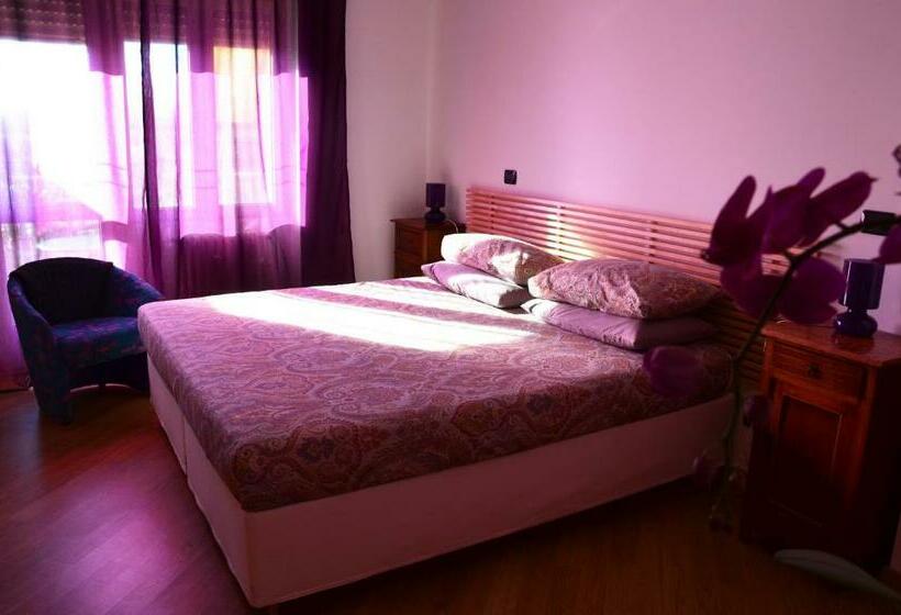 B&b Splendidae Mundi