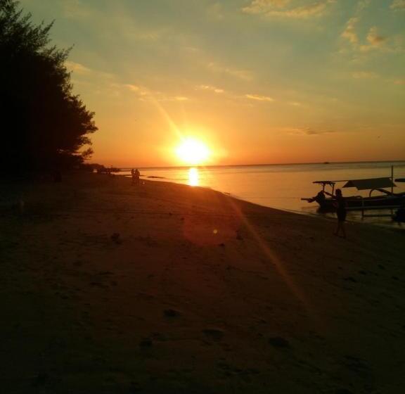 בית מלון כפרי Coco Bale