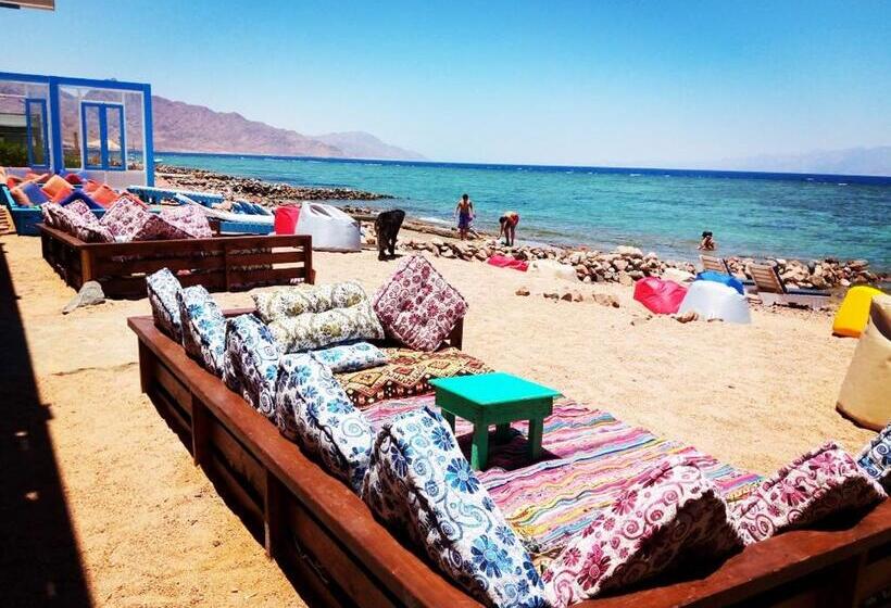 هتل Diamond Dahab House