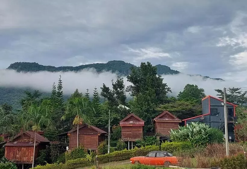 پانسیون ดิน ดาว หนาว หมอก