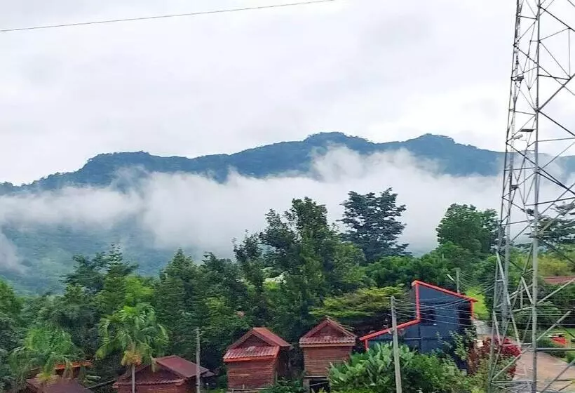 پانسیون ดิน ดาว หนาว หมอก