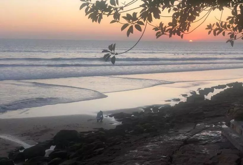 Retkeilymaja Surf & Skate