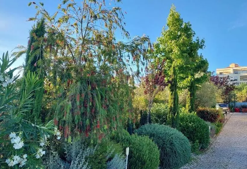 Villa Da Fonte   By Meco