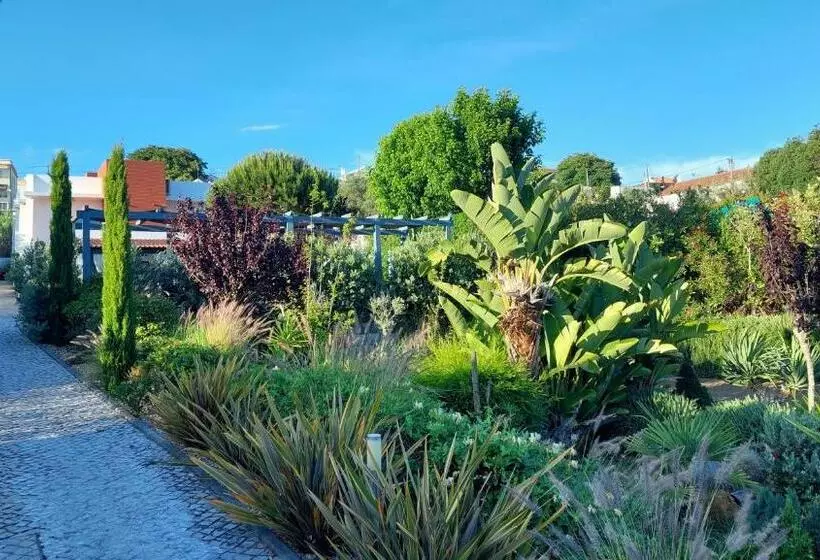 Villa Da Fonte   By Meco