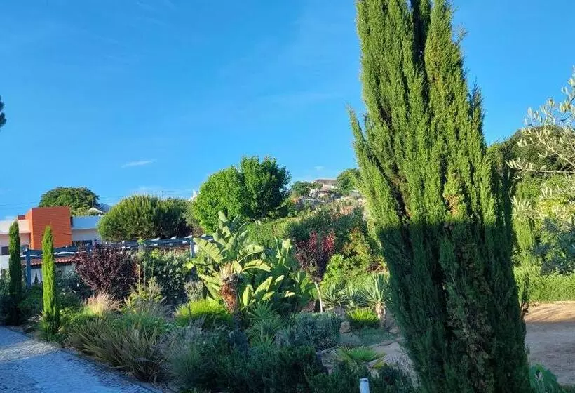 Villa Da Fonte   By Meco