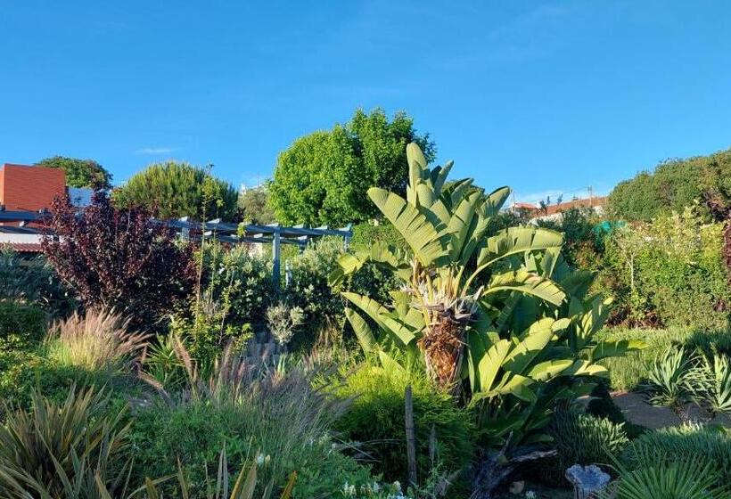 Villa Da Fonte By Meco