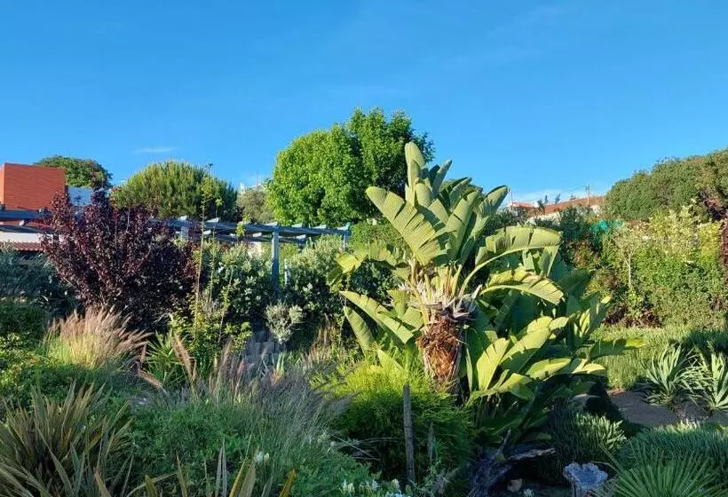 Villa Da Fonte   By Meco