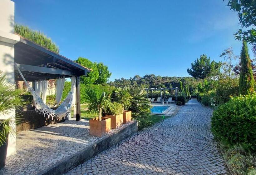 Villa Da Fonte By Meco