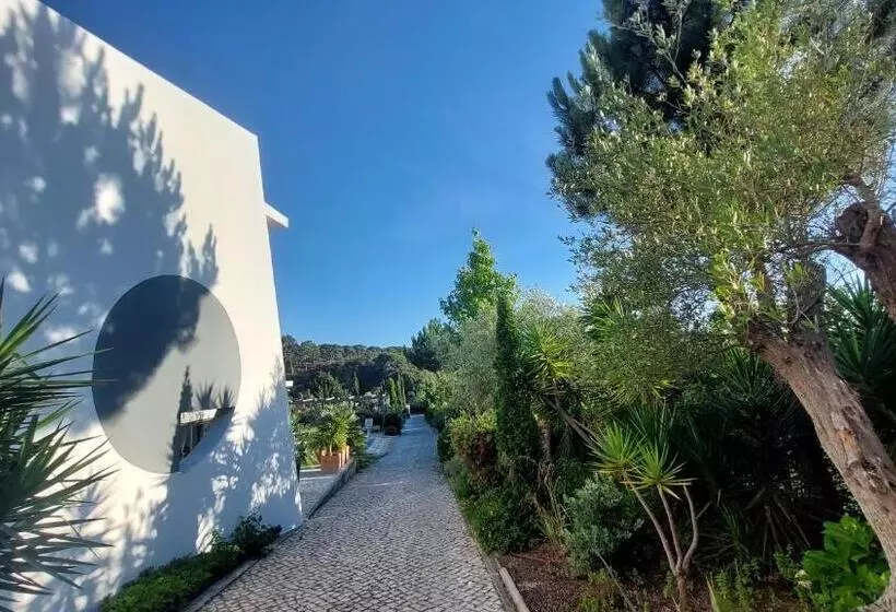 Villa Da Fonte   By Meco