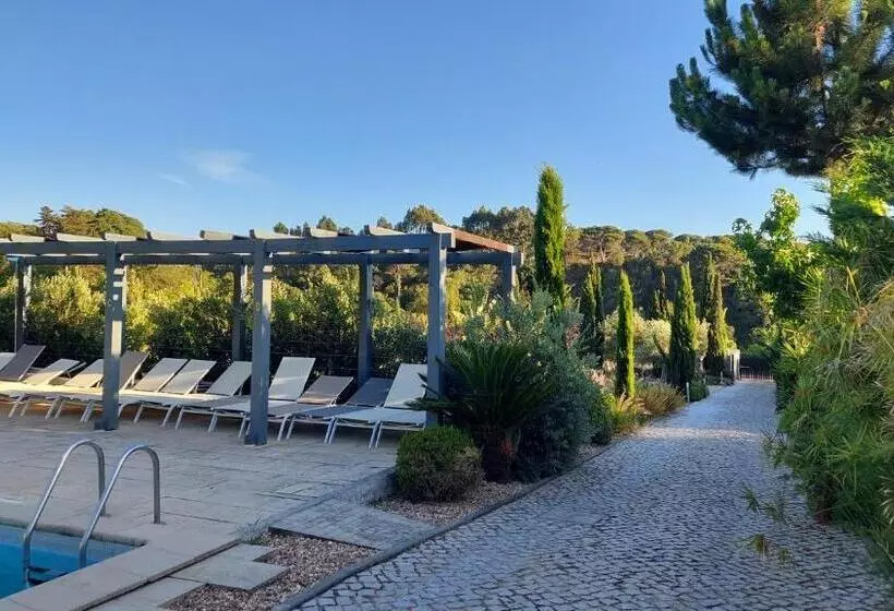 Villa Da Fonte   By Meco