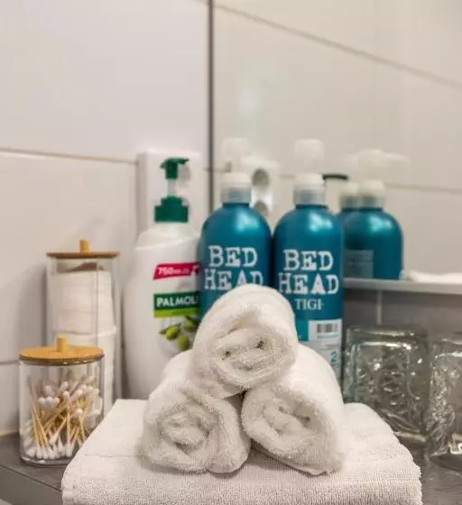 Arctic Starry City Suite