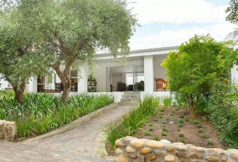 Bains View Olive And Guest Farm