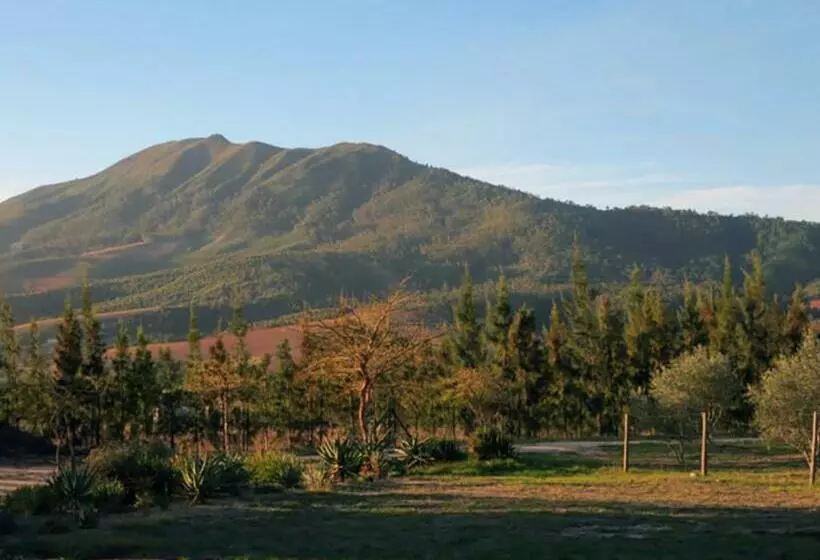 Bains View Olive And Guest Farm