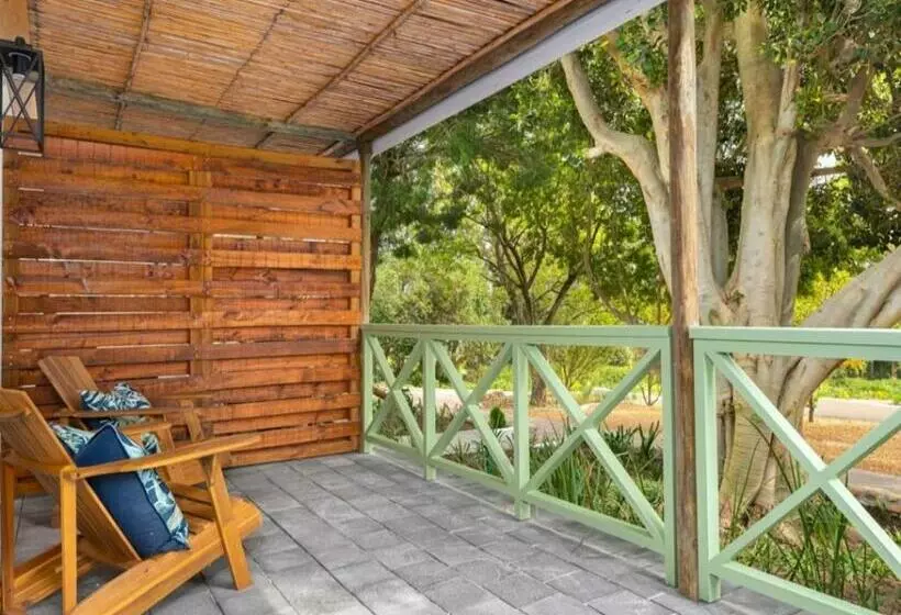 Bains View Olive And Guest Farm