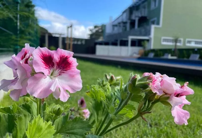 Apartamentos Toffe