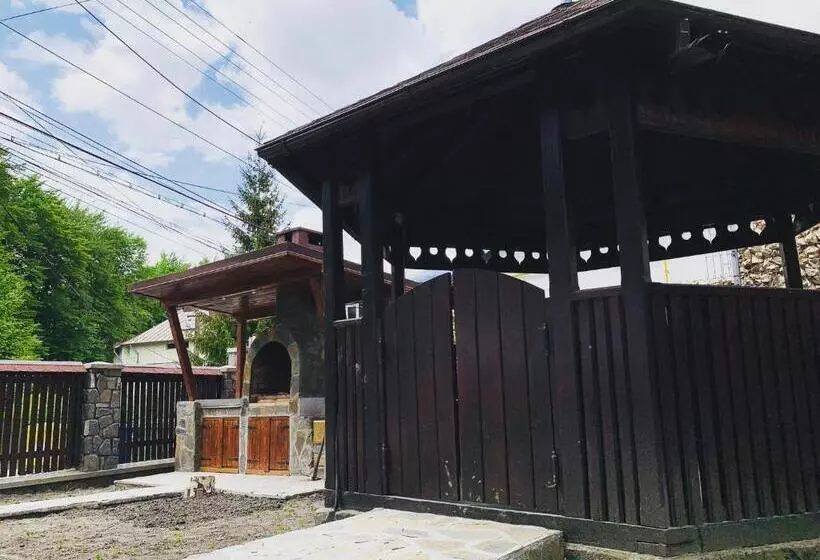 Cabana Carp