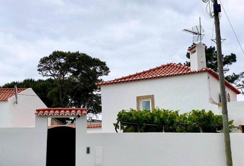 Countryside House In Ericeira 5 Min From Beach, With Salt Water Pool & Bbq